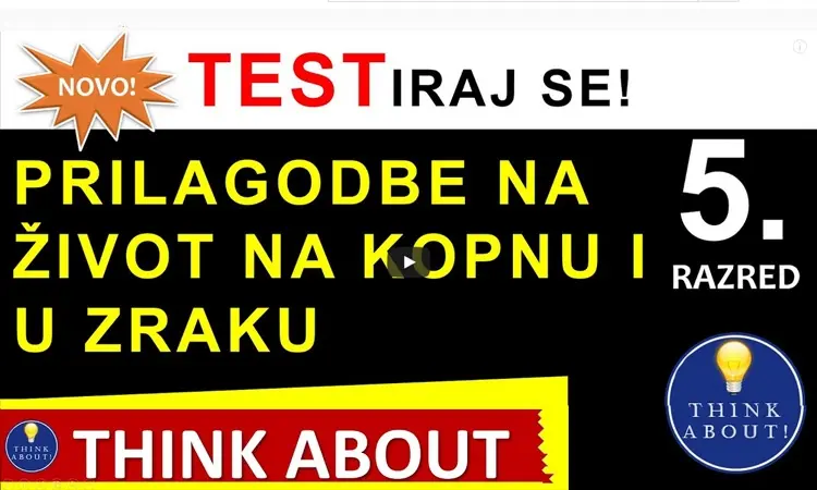 Prilagodbe živih bića na život na kopnu i u zraku - Think About (5.r.) 