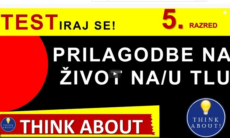 Prilagodbe na život u tlu - Think About (5.r.)