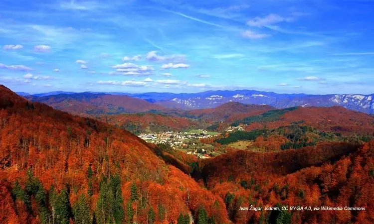 GORSKI ZAVIČAJ (priroda 3. razred)