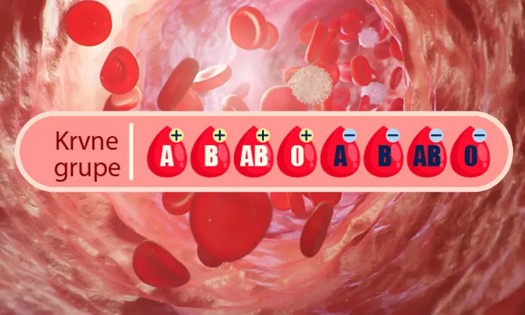 Krvne grupe; Arterijska i venska krv - Optjecajni sustav  (biologija, 7. razred)