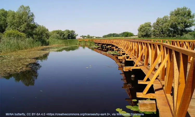 Jezera i močvare Hrvatske - geografija, 5. razred