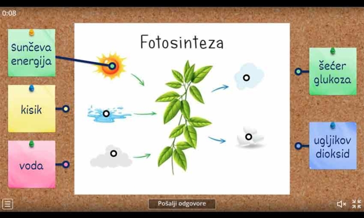 Fotosinteza (priroda 6. razred)